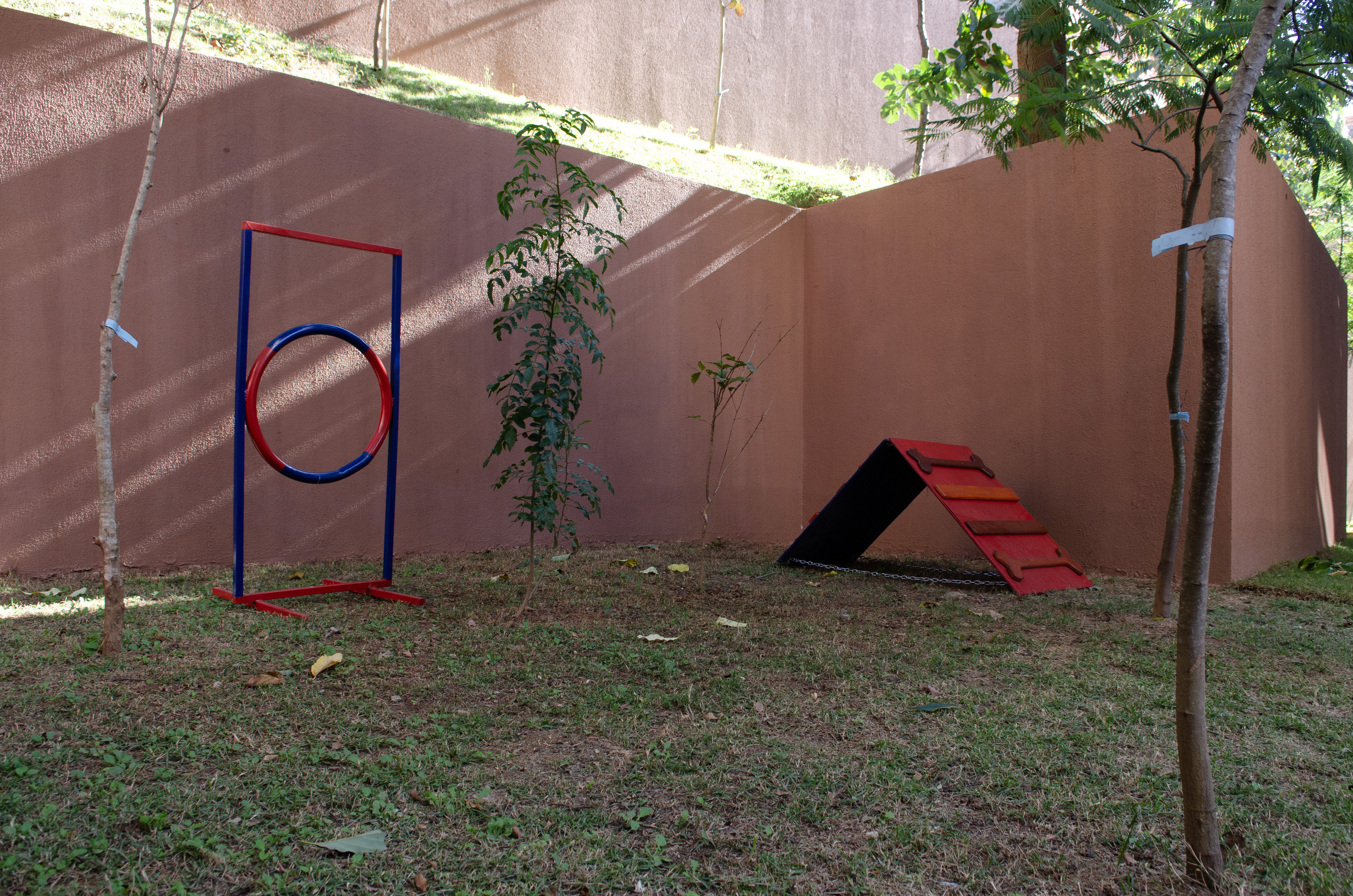 Imagem da Galeria 6